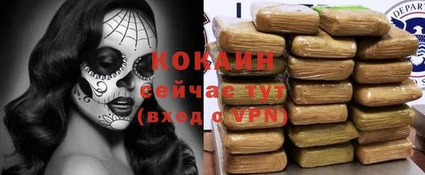 ПСИЛОЦИБИНОВЫЕ ГРИБЫ Апатиты