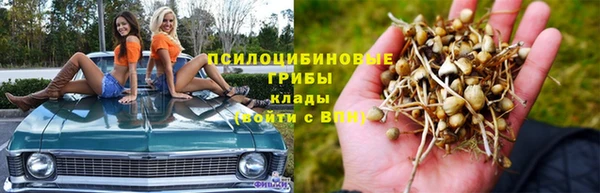 a pvp Белокуриха