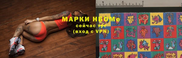 a pvp Белокуриха