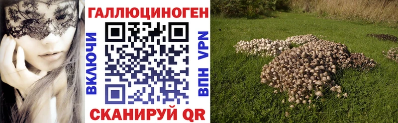 Галлюциногенные грибы мухоморы  купить наркотик  мега как войти  Болгар 